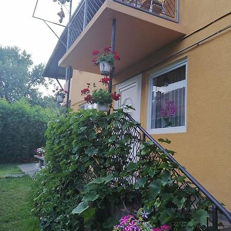 Casa De Oaspeti Orso Sovata Esterno foto