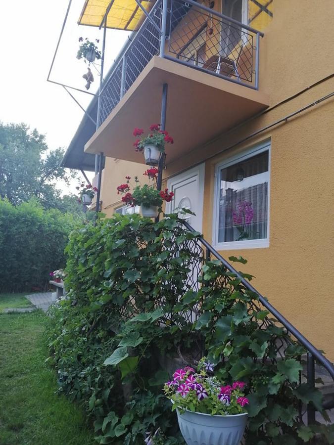 Casa De Oaspeti Orso Sovata Esterno foto